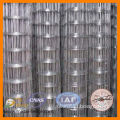 Galvanized Welded Iron Wire Mesh (Manufacturer)